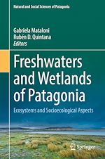 Télécharger le livre :  Freshwaters and Wetlands of Patagonia