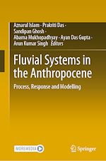 Télécharger le livre :  Fluvial Systems in the Anthropocene