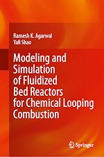 Télécharger le livre :  Modeling and Simulation of Fluidized Bed Reactors for Chemical Looping Combustion