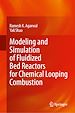 Télécharger le livre :  Modeling and Simulation of Fluidized Bed Reactors for Chemical Looping Combustion