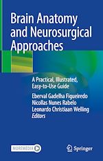 Télécharger le livre :  Brain Anatomy and Neurosurgical Approaches