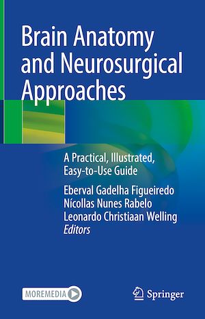 Download the eBook: Brain Anatomy and Neurosurgical Approaches