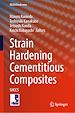 Télécharger le livre :  Strain Hardening Cementitious Composites