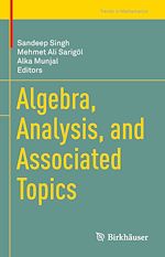 Télécharger le livre :  Algebra, Analysis, and Associated Topics