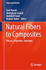 Télécharger le livre :  Natural Fibers to Composites