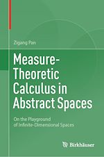 Télécharger le livre :  Measure-Theoretic Calculus in Abstract Spaces