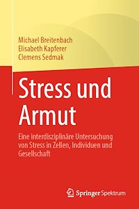 Télécharger le livre :  Stress und Armut