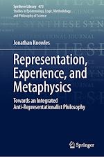 Télécharger le livre :  Representation, Experience, and Metaphysics