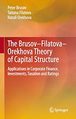 Télécharger le livre :  The Brusov–Filatova–Orekhova Theory of Capital Structure