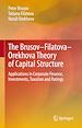 Télécharger le livre :  The Brusov–Filatova–Orekhova Theory of Capital Structure