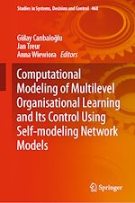 Télécharger le livre :  Computational Modeling of Multilevel Organisational Learning and Its Control Using Self-modeling Network Models