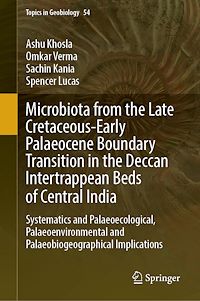 Télécharger le livre :  Microbiota from the Late Cretaceous-Early Palaeocene Boundary Transition in the Deccan Intertrappean Beds of Central India