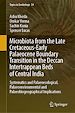 Télécharger le livre :  Microbiota from the Late Cretaceous-Early Palaeocene Boundary Transition in the Deccan Intertrappean Beds of Central India