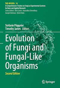 Télécharger le livre :  Evolution of Fungi and Fungal-Like Organisms