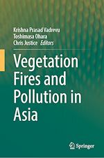 Télécharger le livre :  Vegetation Fires and Pollution in Asia
