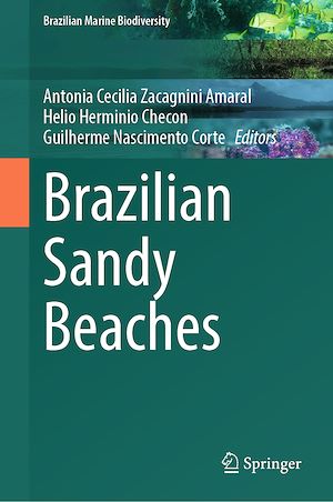 Téléchargez le livre :  Brazilian Sandy Beaches
