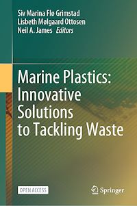 Télécharger le livre :  Marine Plastics: Innovative Solutions to Tackling Waste