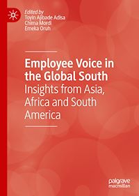Télécharger le livre :  Employee Voice in the Global South
