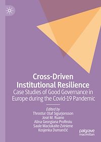 Télécharger le livre :  Cross-Driven Institutional Resilience