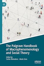 Télécharger le livre :  The Palgrave Handbook of Macrophenomenology and Social Theory