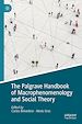 Télécharger le livre :  The Palgrave Handbook of Macrophenomenology and Social Theory