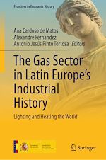 Télécharger le livre :  The Gas Sector in Latin Europe's Industrial History