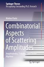 Télécharger le livre :  Combinatorial Aspects of Scattering Amplitudes