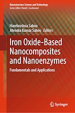 Télécharger le livre :  Iron Oxide-Based Nanocomposites and Nanoenzymes