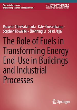 Téléchargez le livre :  The Role of Fuels in Transforming Energy End-Use in Buildings and Industrial Processes