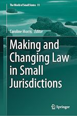 Télécharger le livre :  Making and Changing Law in Small Jurisdictions