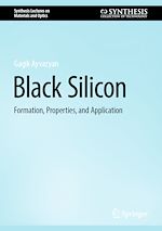 Télécharger le livre :  Black Silicon