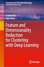 Télécharger le livre :  Feature and Dimensionality Reduction for Clustering with Deep Learning