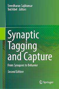 Téléchargez le livre :  Synaptic Tagging and Capture