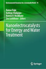 Télécharger le livre :  Nanoelectrocatalysts for Energy and Water Treatment