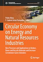 Télécharger le livre :  Circular Economy on Energy and Natural Resources Industries