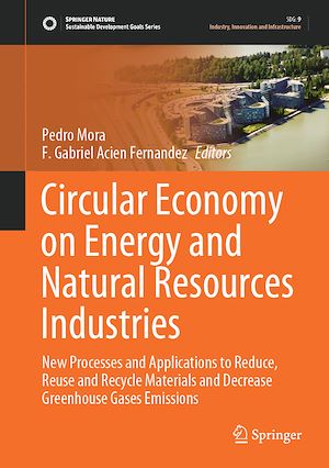 Téléchargez le livre :  Circular Economy on Energy and Natural Resources Industries