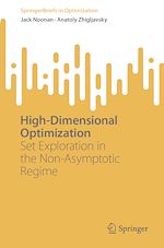 Télécharger le livre :  High-Dimensional Optimization