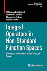 Télécharger le livre :  Integral Operators in Non-Standard Function Spaces