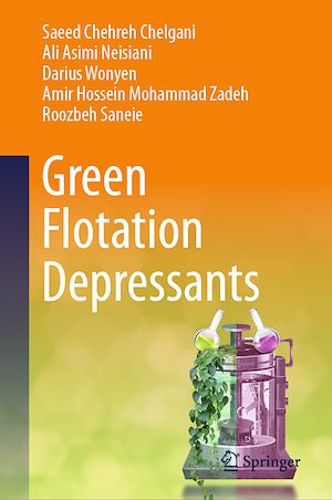 Téléchargez le livre :  Green Flotation Depressants