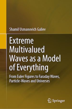 Téléchargez le livre :  Extreme Multivalued Waves as a Model of Everything