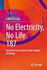 Télécharger le livre :  No Electricity, No Life