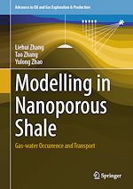 Télécharger le livre :  Modelling in Nanoporous Shale