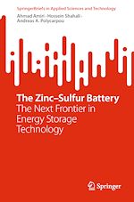 Télécharger le livre :  The Zinc–Sulfur Battery
