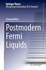 Télécharger le livre :  Postmodern Fermi Liquids