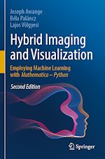 Télécharger le livre :  Hybrid Imaging and Visualization