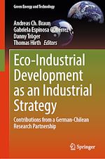 Télécharger le livre :  Eco-Industrial Development as an Industrial Strategy