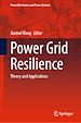 Télécharger le livre :  Power Grid Resilience