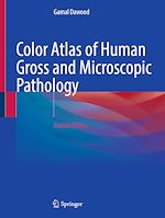 Télécharger le livre :  Color Atlas of Human Gross and Microscopic Pathology