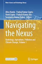 Télécharger le livre :  Navigating the Nexus