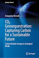 Télécharger le livre :  CO2 Geosequestration: Capturing Carbon for a Sustainable Future